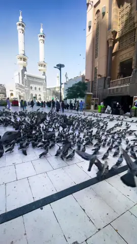 Makkah Al Mukarma #haramsharif #haram #pageforyou #foryoupage 