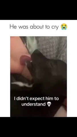 Funny and cute dogs compilation 🤣🐕 #funnydog #funnypet #cutedog #dogoftiktok #doglover #dog 