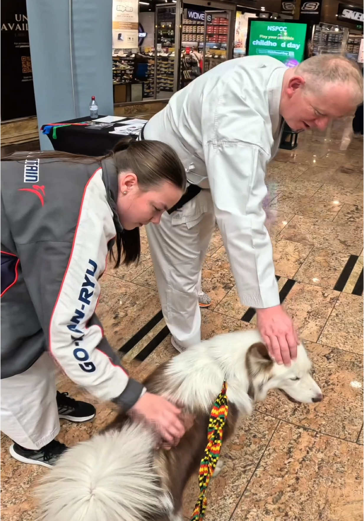 Interactions with Viola!!  #husky #dogs #fyp #foryou #pets #famous #mall #violasnow #viral 