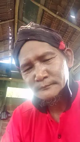 dayak barito #hanyapribahasa # #andai #umpama #misal #dan #jaka #