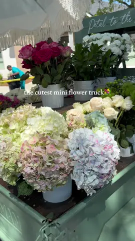 She’s beauty, she’s grace, she’s got stems all over the place. 💐 #fyp #travel #tallahassee #flowers #flowerbouquet #flowertruck 