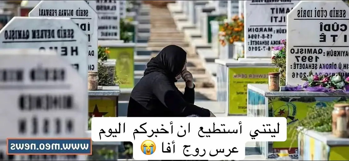 #ألمانيا_برلين_بلجيكا_بروكسل_هولندا_ #كندا🇨🇦 #بلجيكا🇧🇪_بروكسيل_المانيا_فرنسا_هولندا #كوردستان_العراق_اربيل_دهوك_زاخۆ_عقرة #كوردستان #روج_افا 