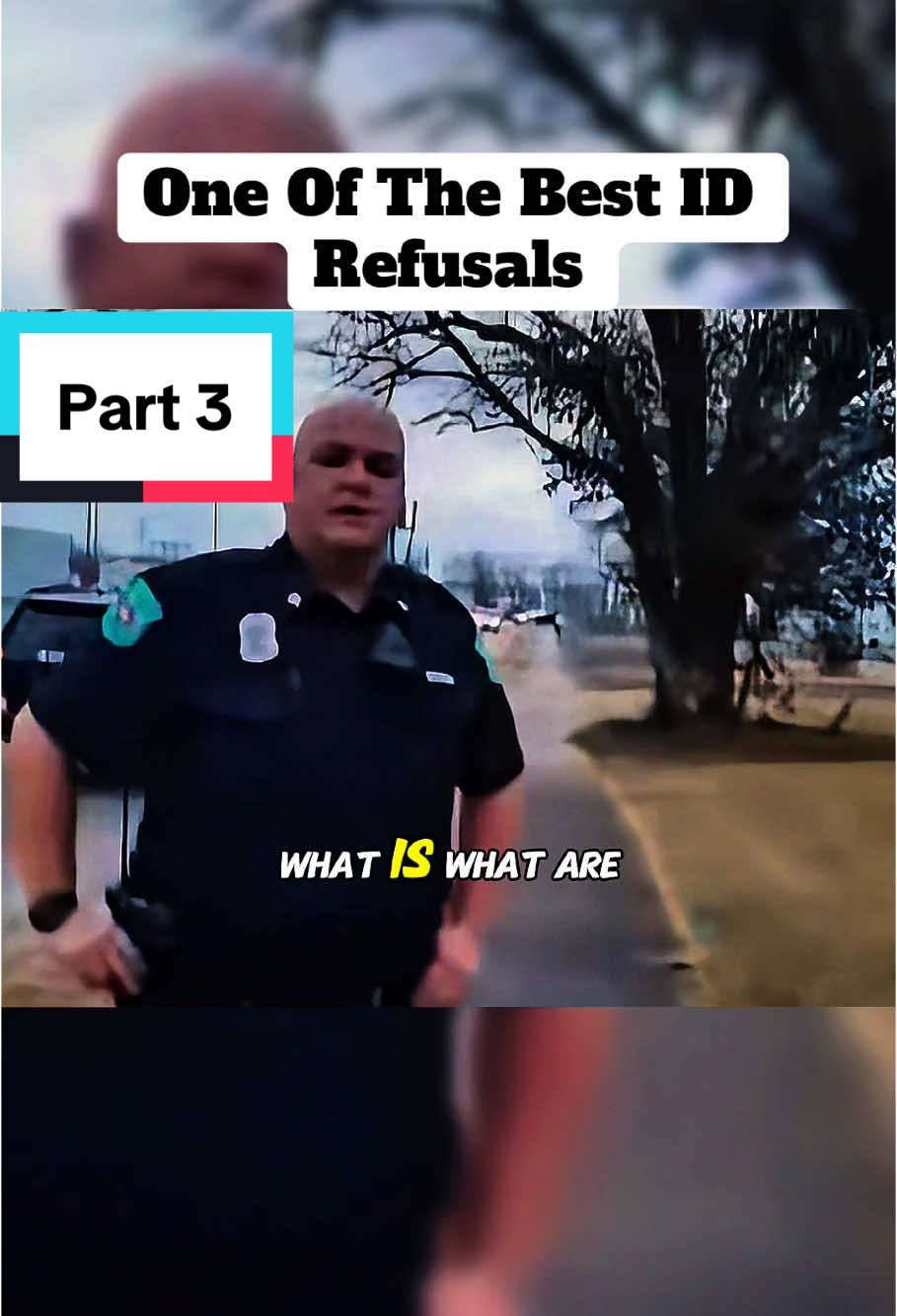 One Of The Best ID Refusals Part 3 #cops #policeofficer #copsoftiktok #usa #vairalvideo #fpyシ 
