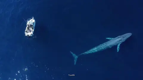 nhớ nhau thế nên mong chờ, ngóng trông mất tận hằng giờ #tuanhh #mck #reallove #myanh