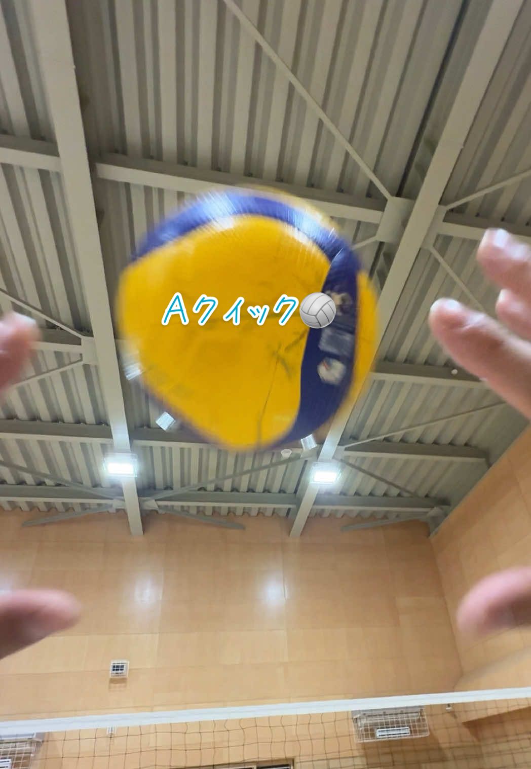 コメントでポジション教えて🏐 #バレーボール #volleyball #voleibol #pallavolo #ハイキュー  @たつ🐉👶🏻🏐 @けいる🐱🏐 @みゆ🐰ྀི🤍 @JUN🐶⚒🏐🥎 @なおや🦩✌️ @いちか🐼🏖️ @牛若くん🐮🏐 @wisteria0401 