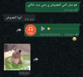 ده لو بكلم حد تاني كان زمانه فهم😂🌚♥ ‌ ‌ ‌ ‌.  ‌#حالات_واتس💫🎬 #ريكوردات_ترند #fpyシ #فويسات #n #الشعب_الصيني_ما_له_حل_😂😂 #pryyyyyyyyyyyyyyyyyyyyyyyyyyyyyyyyyyyy #frypgシ #explore #fryyyyyyyyyyyyyyyyyyyyyyyyy #اكسبلورexplore #trending #صلِّ_على_الحبيب_ياحبيب #تصميم_فيديوهات🎶🎤🎬تصميمي🔥💯👑 #l_love_you #حالات_وتس #الشعب_الصيني_ماله_حل😂😂 