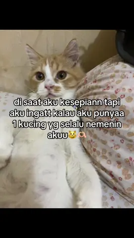 i love my cat..#fypage 