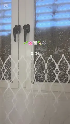 فلوق الصبح 🤍🌱