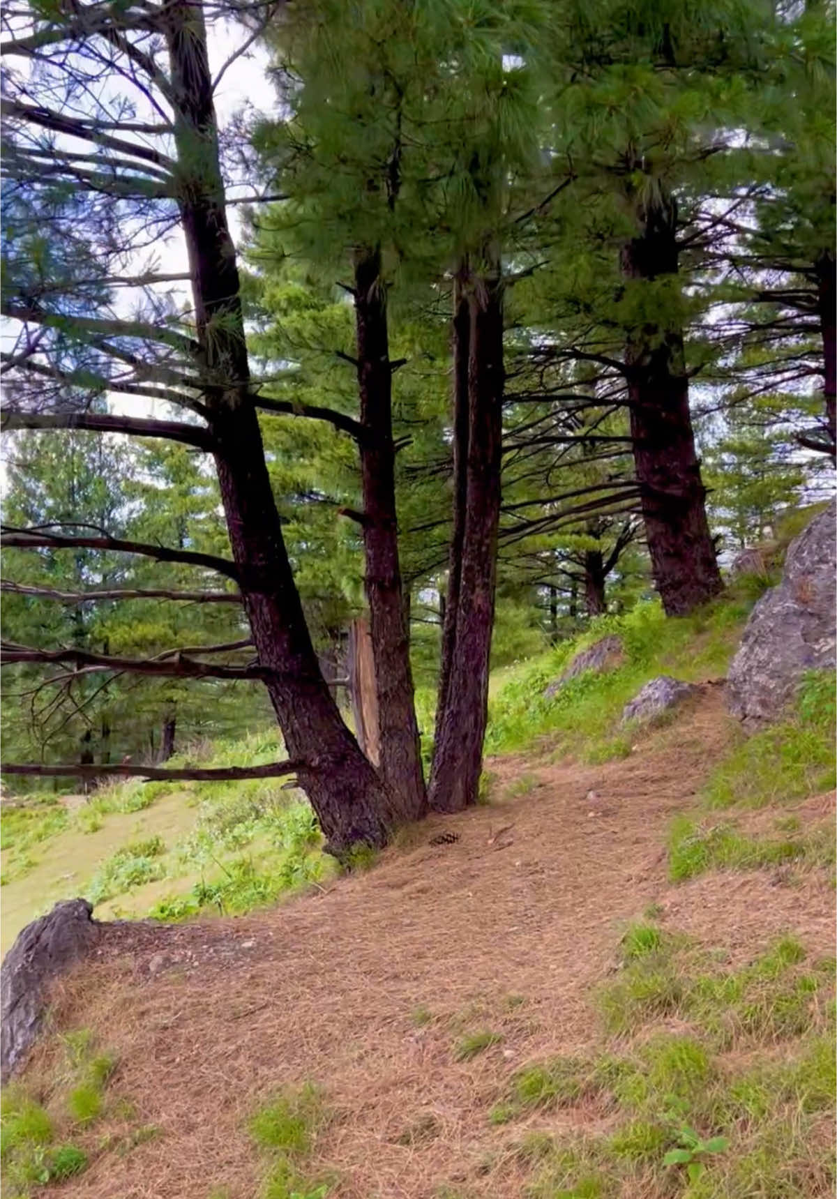 Tirah valley sampokh Top ⛰️ 🌸             #tirahvalley #explore #foryoupage #typ #watan #adventure #mountains #growmyaccount #shahab_afridi313 