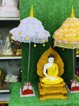 ရွေထီး ထီးဖြူ🚚🇹🇭