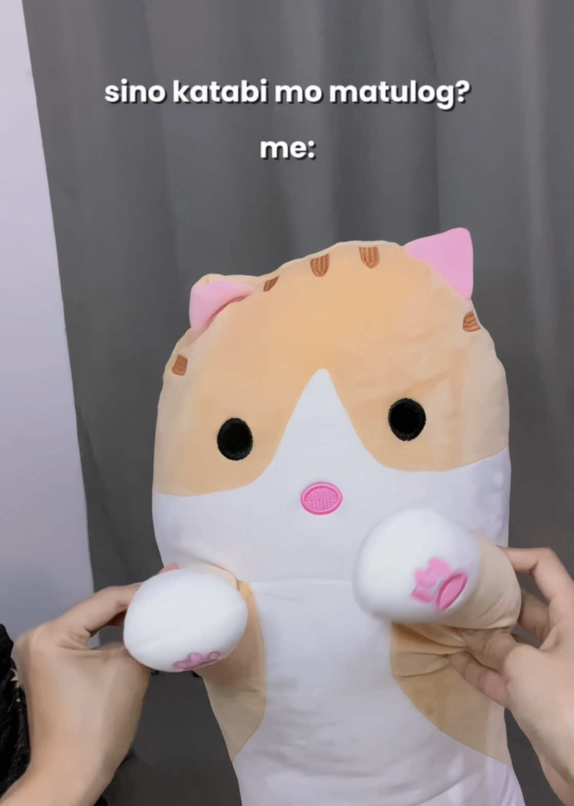 superrrr cuteeeee 🥹🫶🏻 #plushies #hotdogpillow #stuffedtoy #humanpillow #humansizedteddybear #plushiesoftiktok 