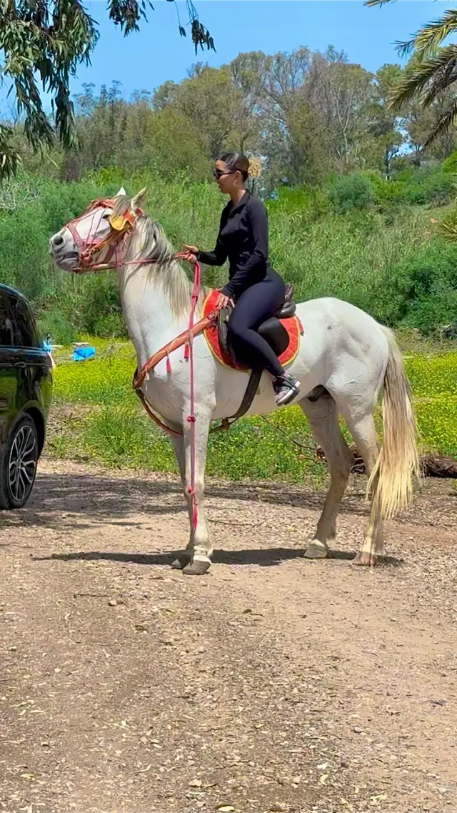 #marocaine🇲🇦 #fyp #maghribia #الخيل #الشعب_الصيني_ماله_حل😂😂 #tik_tok #qatar🇶🇦 