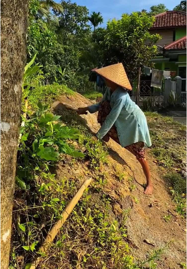 suasana seperti ini bikin rindu kampung halaman #Sukabumi_sagaranten #kampungindah #kampunghalaman #kampungsunda #suasanapedesaan #sukabumi #sukabumiexplore #jawabarat #jampangtengah #kampung #sawah #tempodulu #rumahunik #jamandulu #baheula #sedih #perjuangan #hidup #desa #kampung #pedalaman #reels #video #videoindonesia #alamindonesia #viralvideos #viralindonesia 