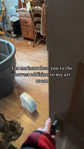 Don’t tell my husband  #ducklings #ducks #ducklingsoftiktok #duckie #springbabies #raisinganimals #slowliving #slowlifestyle #artroom #newaddition #introduce #foryou #duckhumor