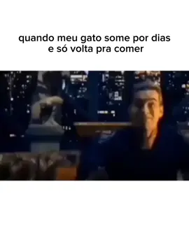 pq ele faz isso 😭😭😭 . . . . #memestiktok #memegato #creatorsearchinsights 