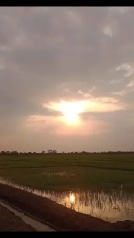 #sansilvestrebarinas🇻🇪 #amandolamúsica🎵llanera #lindo_tema🤠🍀🎶 #🎶🎶 #de_jesus_moreno_el_mejor_cantante_ #🎶🎶 