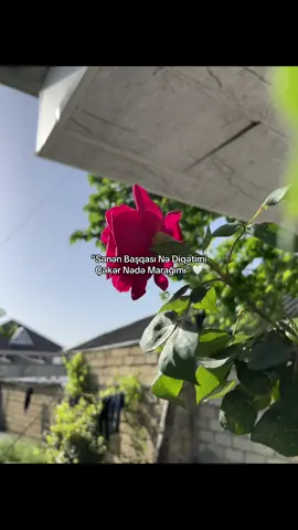 ❤️#kesfet #gecəpostu #sevgi #kesfetbeniöneçıkart #fdyツviral🖤tiktok #fyp 