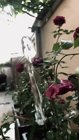Tere sath safar🥰♥️#foryou #foryoypage 