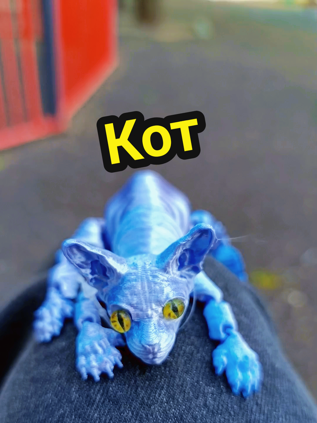 Кот