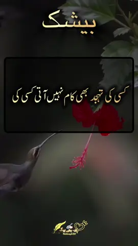 bilkul 💯 follow request 🥹 don't under review my video unfreeze my account #saqibwrite82 #maliksaqib309 