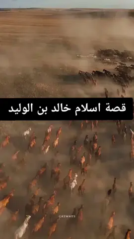 قصة إسلام خالد بن الوليد  #قرآن#قصص_الصحابه_والتابعين #video 