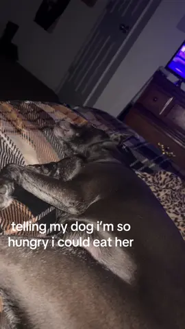 help i’m giggling whyd she wake up after i called her fat 😭 #imsohungry #icouldeatadog #funny #dog 