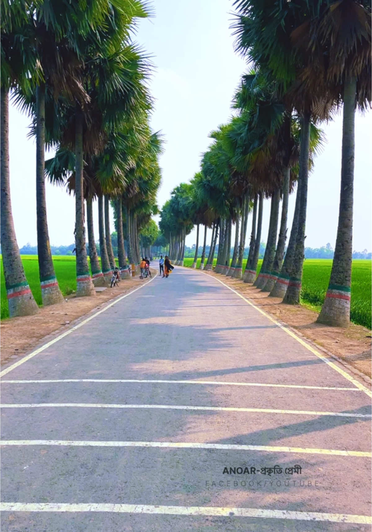 ছবির মতোই সুন্দর গ্রামীণ সড়ক ঘুঘুডাঙ্গা তালতলী।