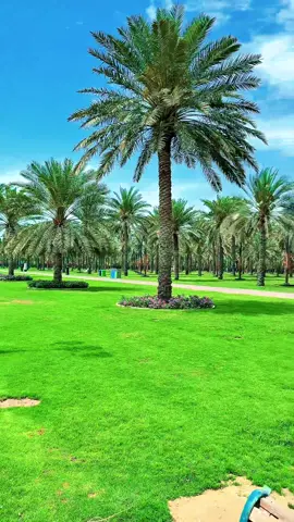 Beautiful Place Sharjah 🥰🫶🇦🇪#sharjah #uae #almajaz #beauty #explorewithubaid 