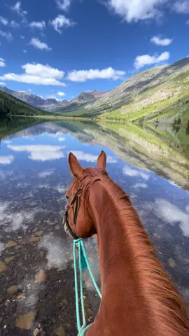 Summer is right around the corner and I cannot wait #montana #glaciernationalpark #Summer #horses #horseriding #lake #backcountry #reddeadredemption2 #greengoldandblues 