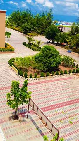Dadkan labada dabaq nogu faanaya haloo sheego meshan inay joogto MOGADISHU UNIVERSITY.. ✍️🏫 🔥#mogadishuniversity #somaligamergg1 #fyp 
