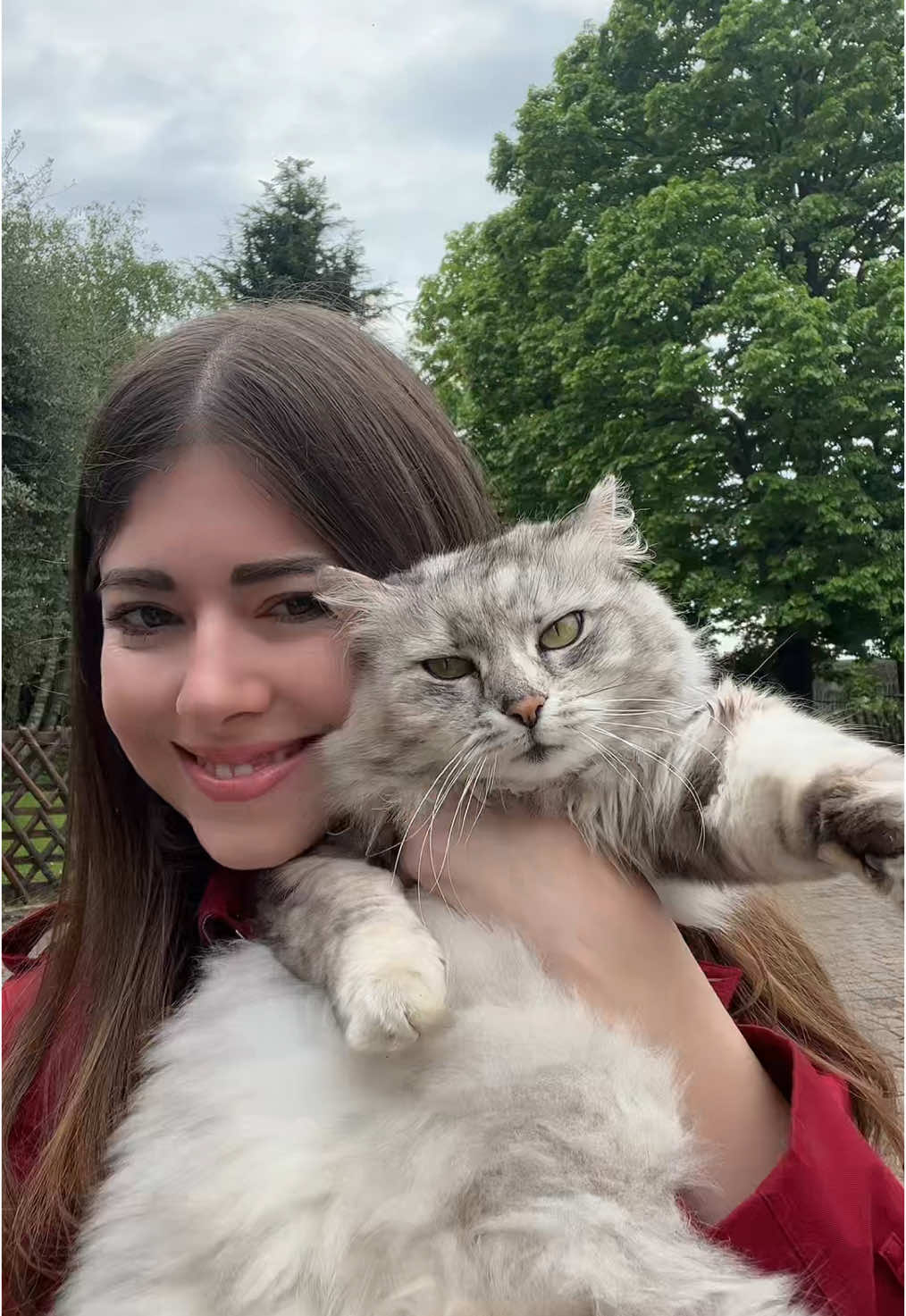 La mia palla di pelo🐈‍⬛