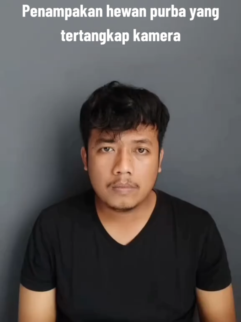 Apakah mereka benar-benar sudah punah ?
