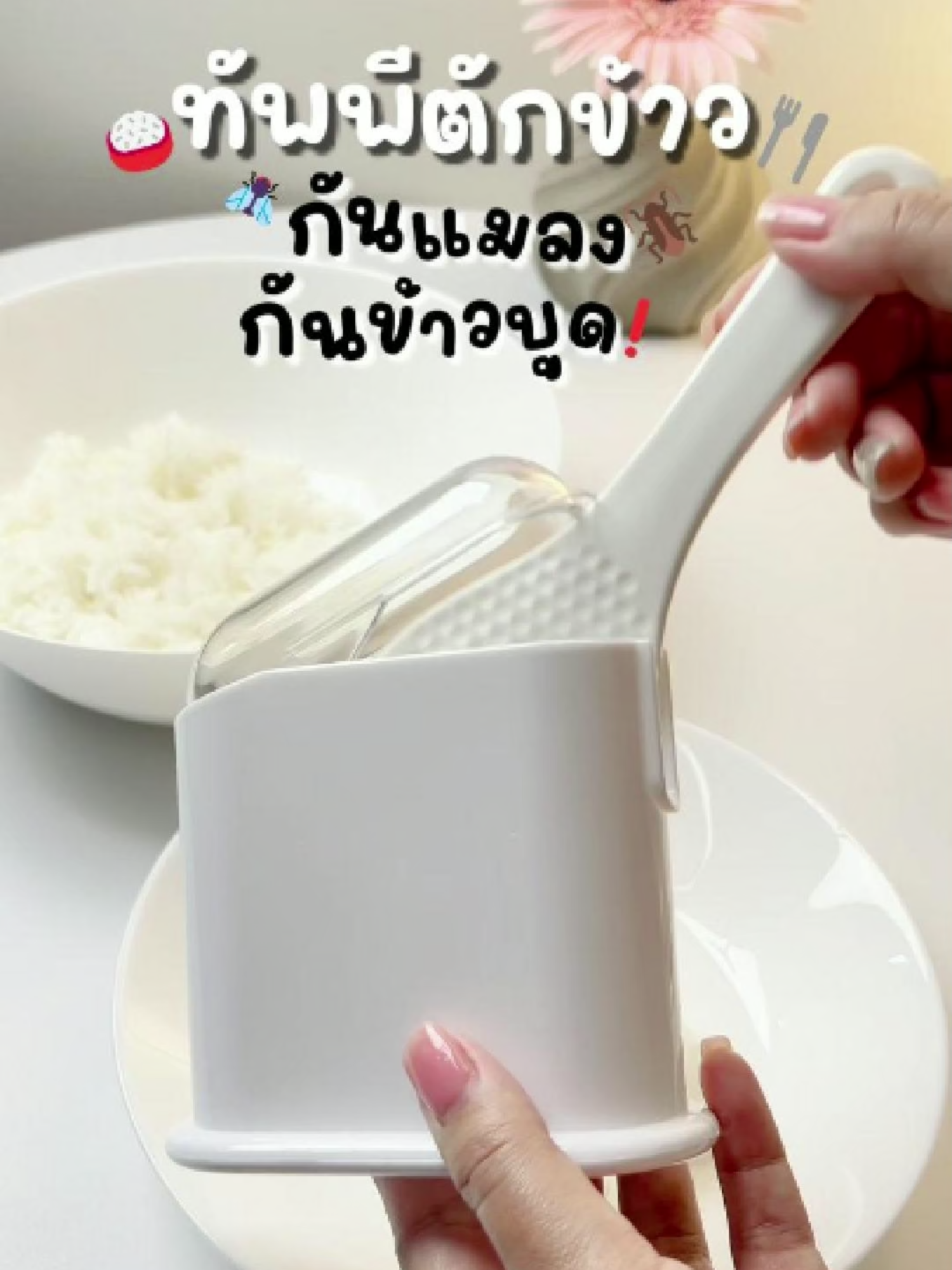 ทัพพีตักข้าว ป้องกันแมลง ป้องกันข้าวบูดเสีย🍚🦟 @kwanggoodchoice #ทัพพี #ทัพพีตักข้าว #ข้าว #ครัวtiktok