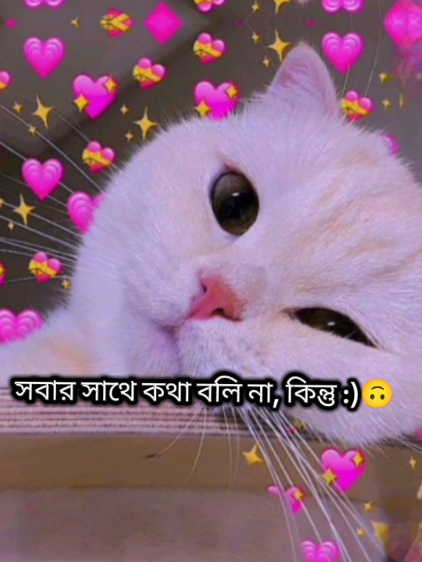 আমি সবার সাথে কথা বলি না কিন্তু 🙃
