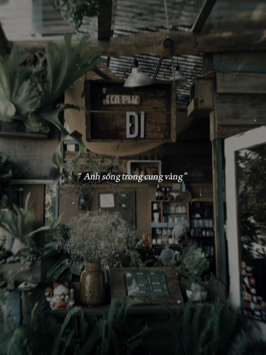 Duyên tình ta tan nát cũng là do anh gieo trái ngang..#_ily29th11 #tamtrang #remix #thamphuphuban #Bkmuzic 