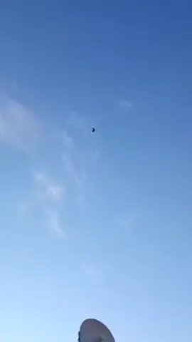 سوده لوت #.#. . . . . . . . . #تصميم_فيديوهات🎶🎤🎬 #لايك #اكسبلور 