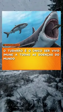 5#curiosidades #vocesabia #fatos