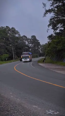 Sapaan hangat dri sang Driver yg paling Ramah 😁 bg @amaddom21 Pesona putra pelangi SCANIA K410 CB EURO 5 (DOMTORETRO)  @ainulrasyidishabira @penggemarbusputrapelang3 @poputrapelangi @potret_transport @ir.capten @ᴘᴇɴᴀʀɪ ʟɪɴᴛᴀs 🔥 @loketputrapelangikrk @loketputrapelangi @loketputrapelangi2 @BOSS,MUDA @cctvhiacelangsa @cctvlintasdingin02  #masukberanda #berandafyp #berandatiktok #beranda #fpyyyyyyyyyyyyyyyyyyyyyy #fypchallenge #foryoupage #fypage #fyp #fypシ゚ #putrapelangiperkasa #poputrapelangi #busaceh #busmedan #bussumatera #cctvlintasaceh 