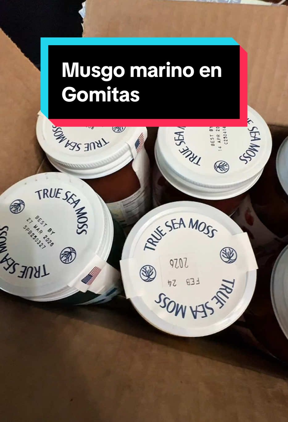 Gominolas seamoss con sabor a caramelo  #creatorsearchinsights #trueseamoss #seamossgummy #healthycandy #holistichealth #chronduscrispus #tiktokshopblackfriday #tiktokshopcybermonday #holidayhaul #giftsforher #giftsforhim
