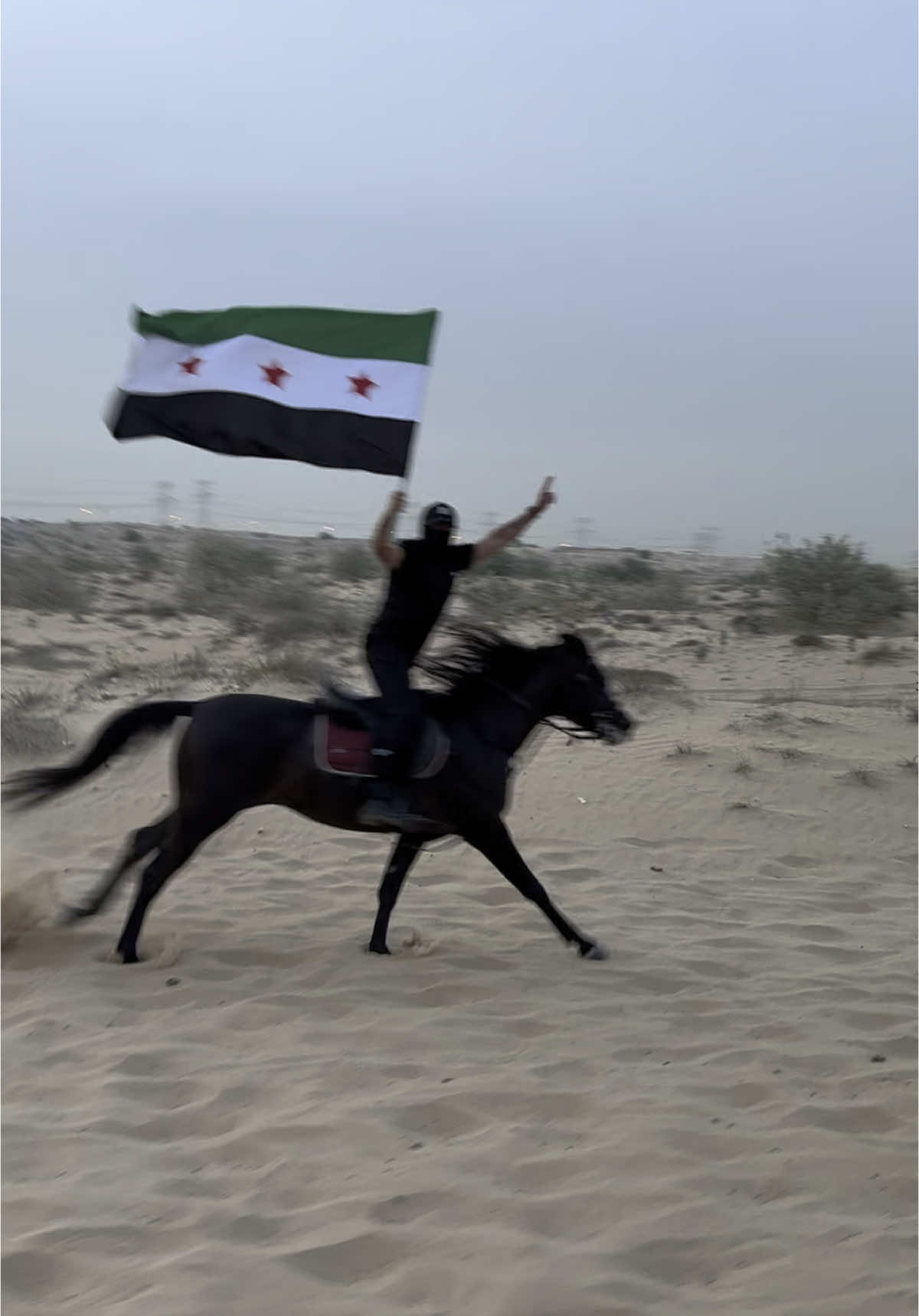#لالي_لالي_لالي_ياعلمنا#لالي_بالعالي #انا_سوري_يا_نيالي_🇸🇾  #أبن_حمص_العدية👑🕊وألي_الفخر😌  #احرار_سوريا #فرسان_سوريا #علم_سوريا💚💚 #كف_بكف_جند_وشعب #خيل #خيل_وخياله🐎 #خيل_عربي_اصيل #خيول_عربية_اصيلة #خيول #خيل_عربي_اصيل🐎🐎 #سوريا #السعودية #الامارات #دبي #قطر🇶🇦 #البحرين #ترند #اكسبلور #اكسبلورexplore #الشعب_الصيني_ماله_حل😂😂 