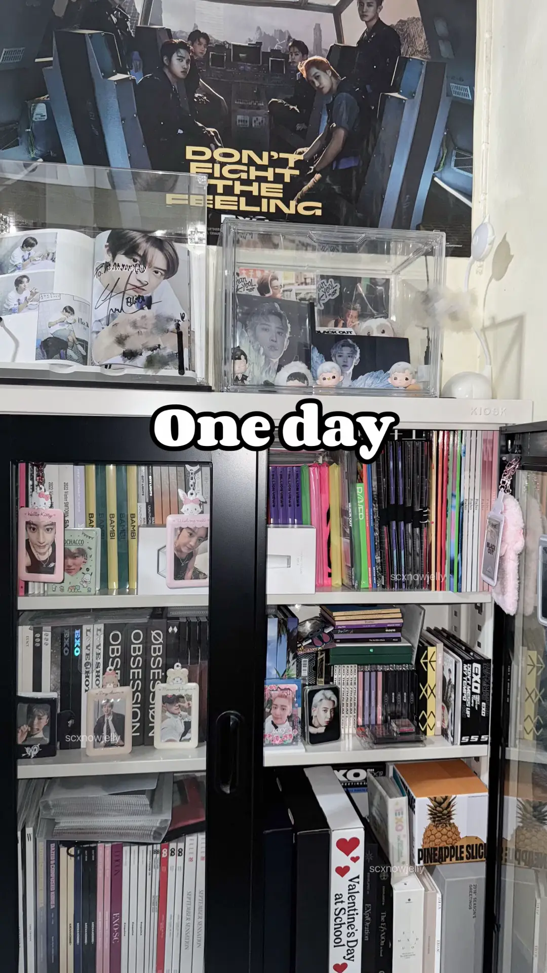 #exol #엑소엘 #kpopcollection #kpopcollector #exo #엑소 #exocollection 