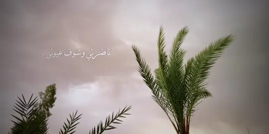 كلمني وكل وشلونك. 🖤. (!                             #فليح🍿 #npr1🌚 