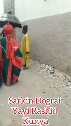 Sarkin Dograi  Yayi Rashid  Kunya#viralpost2025 