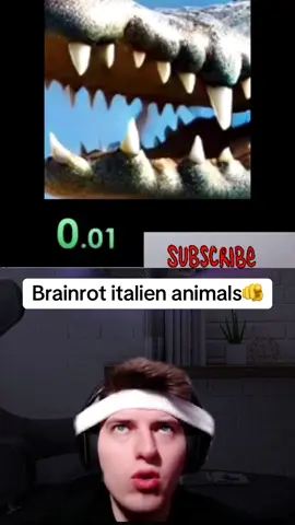 Brainrot italien animals speedrun tralalerotralala