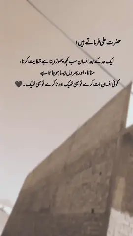 hazrat Ali farmate Hai🖤 #1millionaudition #aesthetic #poetrystatus #foryou #foryoupage #fyp #deep_lines467 