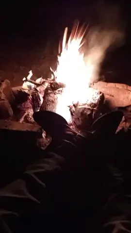 #backwoodsboy #donttreadonme 