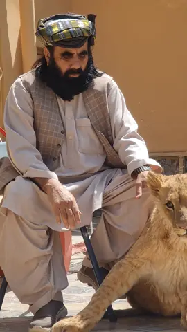 #creatorsearchinsights #commandersufikhudaidad#qudratachakzai#sufikhudaidad❤️✌️#QudratAchakzai#kamalG