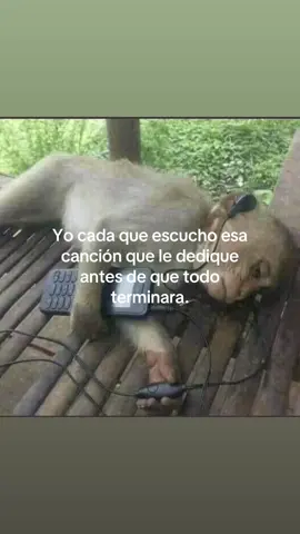 #aleman #dowwithme #el #ledediqueestacancion #vuelve #abraham #team 