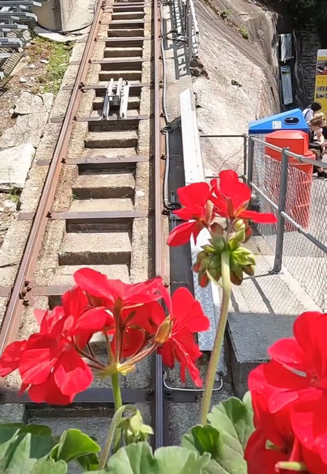 #gelmerbahn #gelmerbahnswitzerland #switzerland #schweiz #switzerlandtravel #travel #europetravel #travelling #traveling #traveltok #traveltikto #travellinggirl #travelgirl #exploretheworld #collectmoments #collectingmoments #collectmomentsnotthings 