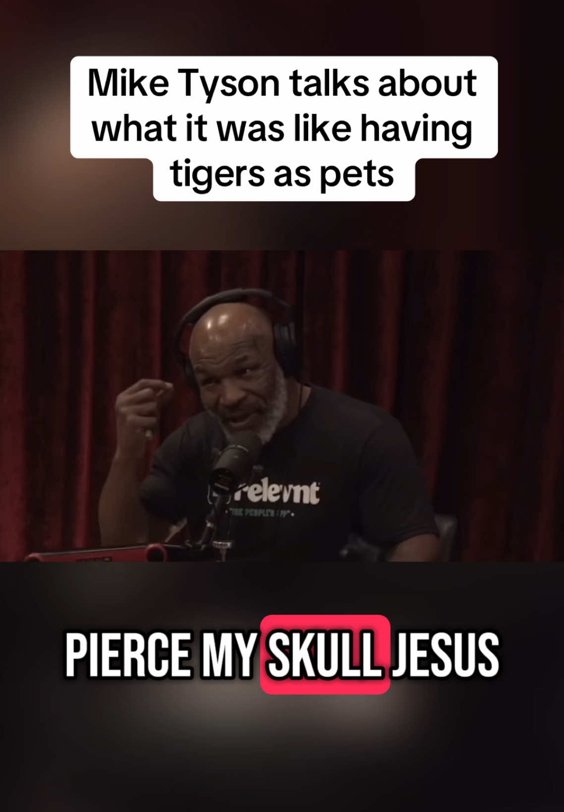Mike Tyson shares story about pet tigers #joerogan #boxer #tiger #story #clips 